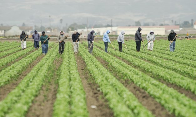 Labor Trafficking Preys on the Undocumented